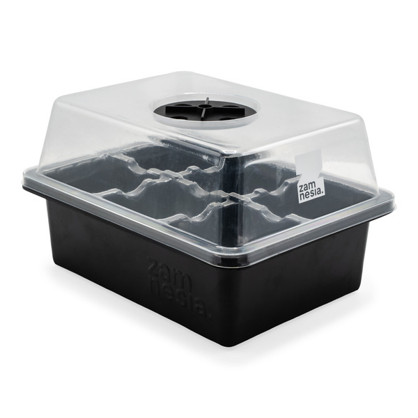 Seed Propagation Kit (Zamnesia)