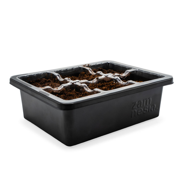 Seed Propagation Kit (Zamnesia)