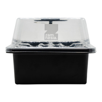 Seed Propagation Kit (Zamnesia)