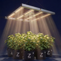 Phytonaut LED Grow Light 240 W (Zamnesia)