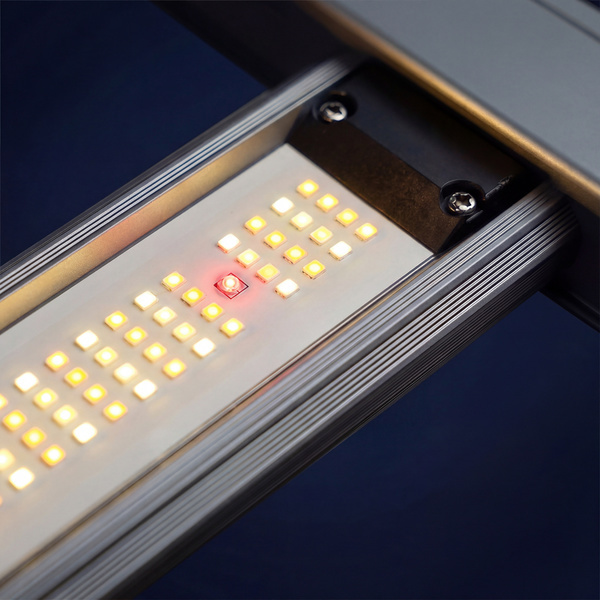 Phytonaut LED Grow Light 480 W (Zamnesia)