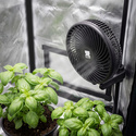 Grow Tent Clip Fan 152 mm (Zamnesia)