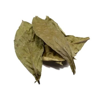 Chacruna (Psychotria viridis) 50 grams