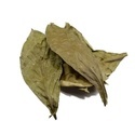 Chacruna (Psychotria viridis) 50 grams