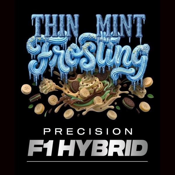 Thin Mint Frosting F1 (Barney's Farm) Feminized