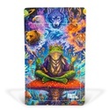 Psychedelic Dreams Z-Lock Stash Bag (Extra Large)