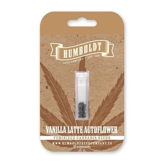 Vanilla Latte Autoflower (Humboldt Seed Company) Feminized