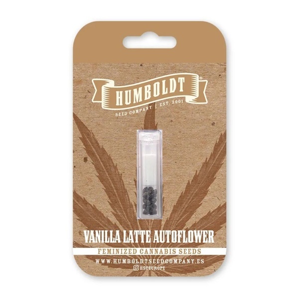 Vanilla Latte Autoflower (Humboldt Seed Company) Feminized