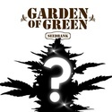 CBD Mystery Seed 1 (Garden of Green)