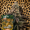 Cheetah Piss Autoflower (Zamnesia Seeds) Feminized