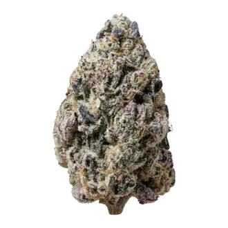 Biscotti Gelato (Fast Buds) Feminized