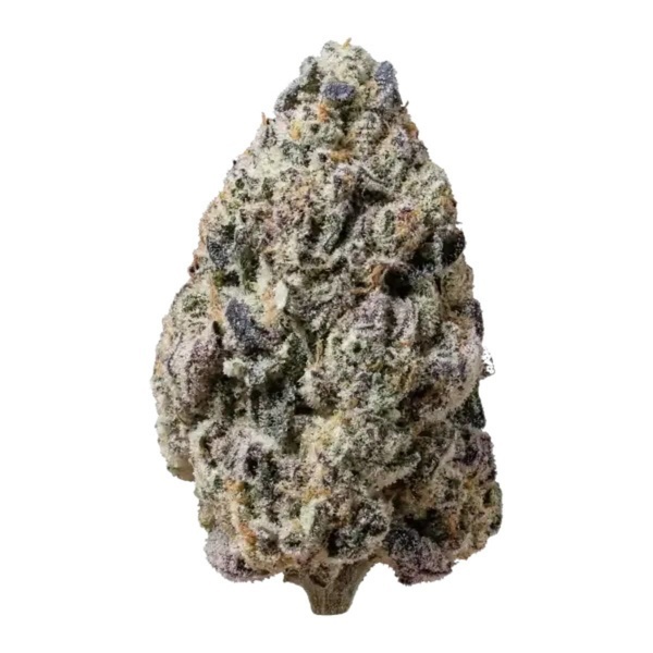 Biscotti Gelato (Fast Buds) Feminized