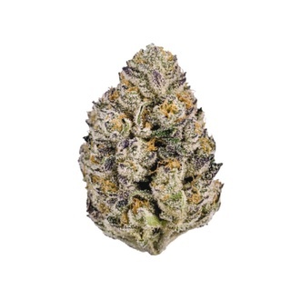 Lemon Cherry Runtz (Fast Buds) feminized