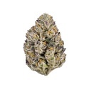 Lemon Cherry Runtz (Fast Buds) feminized