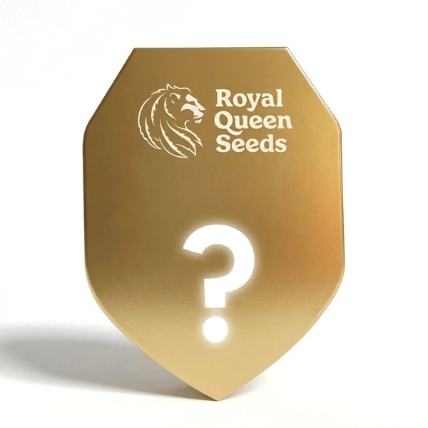 Autoflower F1 Mystery Seed 3 (Royal Queen Seeds)