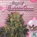 Bubblegum (T.H. Seeds) Feminized