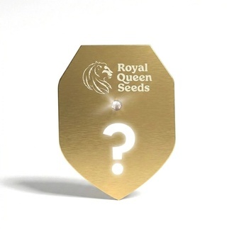 F1 Mystery Seed 1 (Royal Queen Seeds)