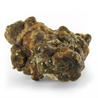 Hollandia Magic Truffles