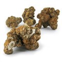 Utopia Magic Truffles