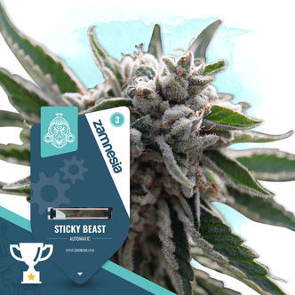 Sticky Beast Autoflower (Zamnesia Seeds) feminized