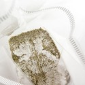 Fresh Mushrooms Grow Kit 'B+'