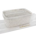 Fresh Mushrooms Grow Kit 'Golden Teacher'