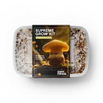 Zamnesia SUPREME Grow Kit 'Golden Teacher'