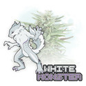 White Monster Autoflower (Zamnesia Seeds) feminized