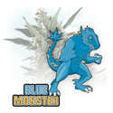 Blue Monster Autoflower (Zamnesia Seeds) feminized