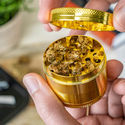 Metal Grinder 24K Gold