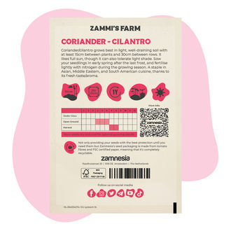 Coriander (Coriandrum sativum) Buddy Pack