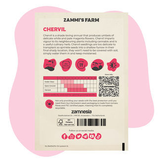 Chervil (Anthriscus cerefolium) Buddy Pack