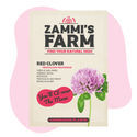 Red Clover (Trifolium pratense) Buddy Pack