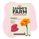 Marigold (Calendula officinalis) Buddy Pack
