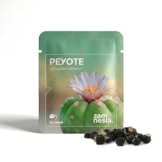 Peyote (Lophophora williamsii) 20 seeds