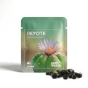 Peyote (Lophophora williamsii) 20 seeds