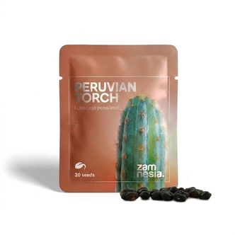 Peruvian Torch (Echinopsis peruviana) 20 seeds