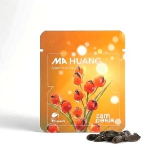 Ma Huang Seeds (Ephedra sinica) 20 Seeds