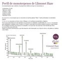 Llimonet Haze Classic THC (Elite Seeds) feminized