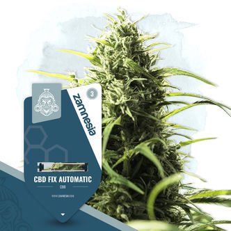 CBD Fix Autoflower (Zamnesia Seeds) Feminized