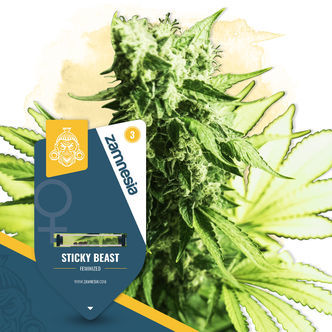 Sticky Beast (Zamnesia Seeds) feminized