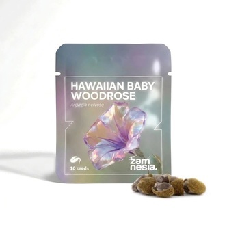 Hawaiian Baby Woodrose Madagascar (Argyreia nervosa) 10 seeds