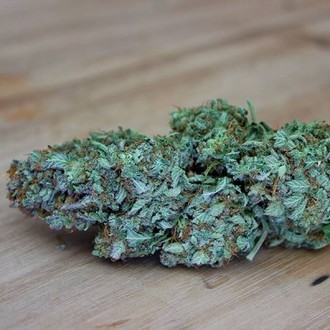 CBD Kong's Kush (Sumo Seeds) feminized