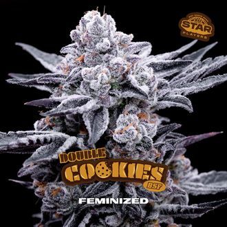 Double Cookies (BSF Seeds) feminized