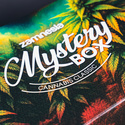 Cannabis Mystery Box - Classic (Zamnesia)