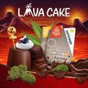 Lava Cake Autoflower (Zamnesia Seeds) feminized