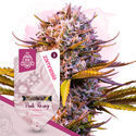 Pink Rozay Autoflower (Zamnesia Seeds) feminized