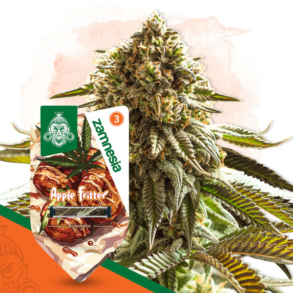 Apple Fritter Autoflower (Zamnesia Seeds) feminized