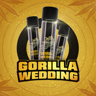 Gorilla Wedding (BSF Seeds x Zamnesia Seeds) feminized