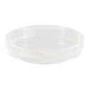 20 Plastic Petri Dish Sterile (Greiner)